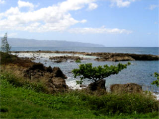 A view of Sharks Cove on the North Shore of Oahu